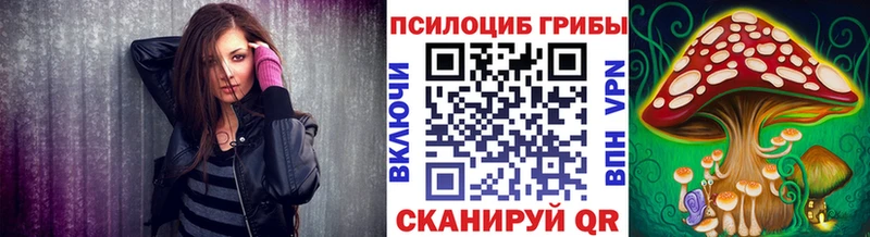 кракен как зайти купить сайты Можайск Галлюциногенные грибы MAGIC MUSHROOMS