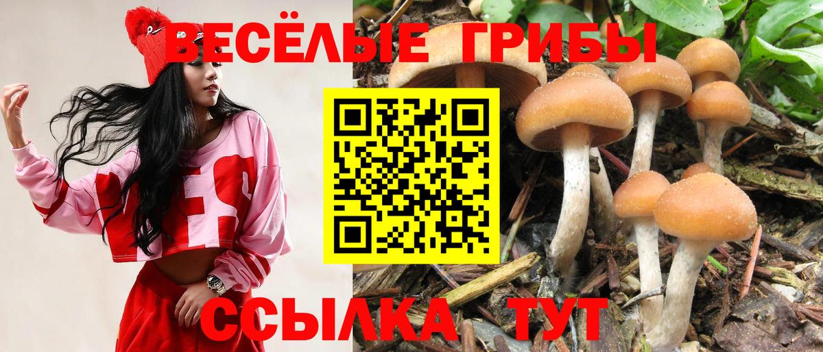 Галлюциногенные грибы Magic Shrooms Можайск
