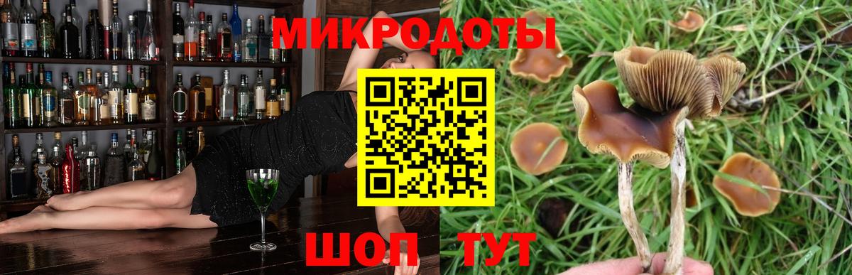 Можайск  Псилоцибиновые грибы MAGIC MUSHROOMS  наркота  Вход с VPN 